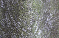 Wherwell fibreglass roof work